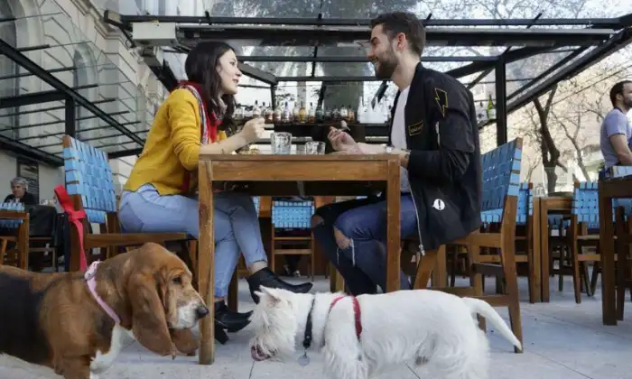 Dog Friendly Eateries