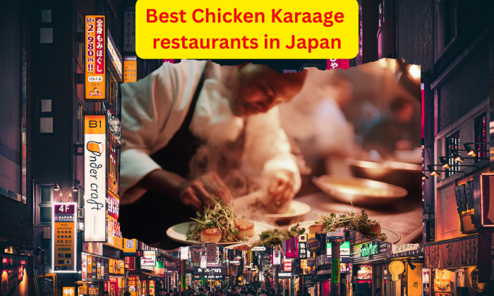 Top 10 Karaage near me in Japan