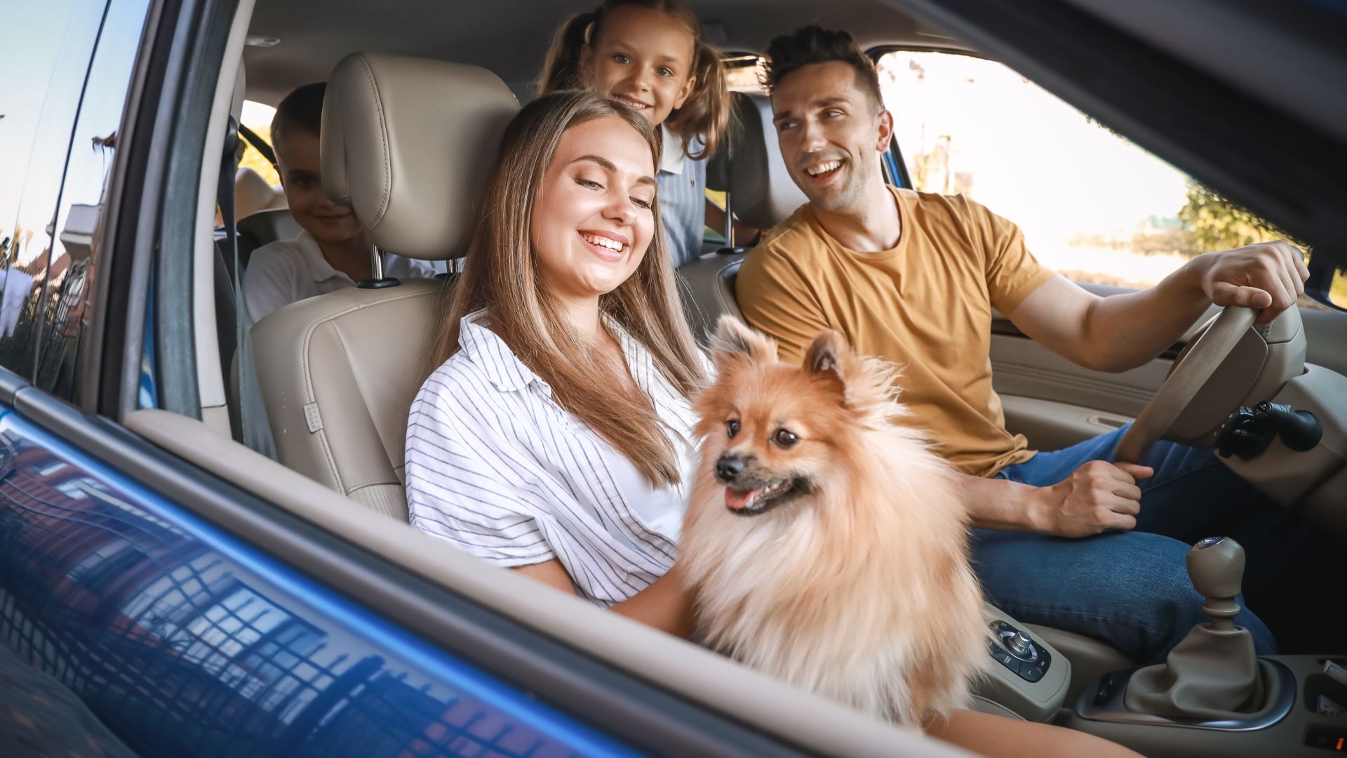 Foodie road trips with dogs enjoying a scenic roadside stop with outdoor dining and pet-friendly travel vibes